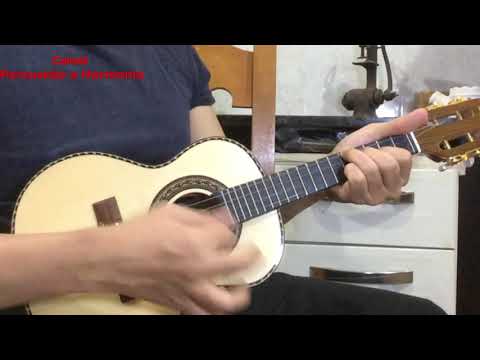 Xote Coladinho - Teixeira Santos