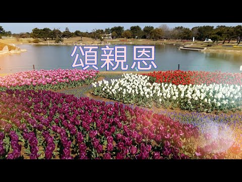💕頌親恩🌷 A Tribute to Parents' Love 全新製作齊唱版及二聲部合唱曲 經已出版 (🎹📙Pdf電子樂譜 免費下載)