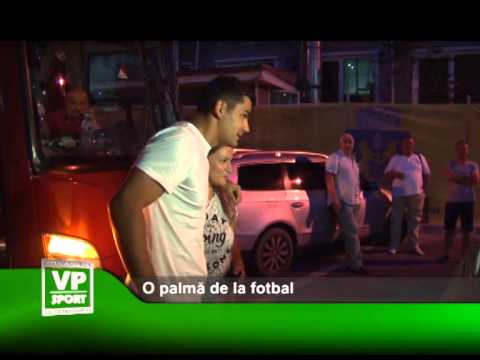 O palmă de la fotbal