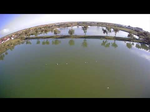 Autorulota Balta Sacalaz