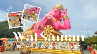 【Pink Elephant】願いを3倍速で叶えてくれるゾウ様に会ってきた🐘💖