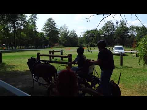 Fahrturnier Neu Versen 23.6.2019