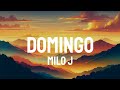 Milo j - DOM1NGO (Letra/Lyrics)