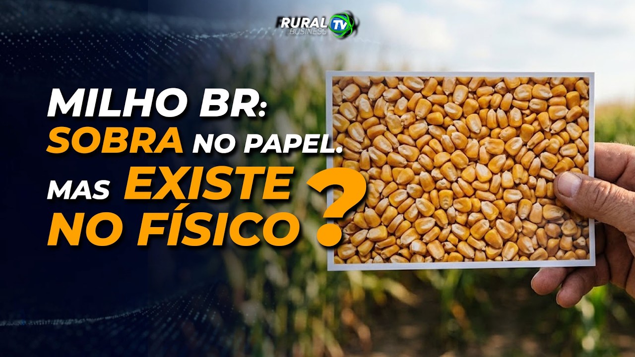 MILHO BR: SOBRA NO PAPEL. MAS EXISTE NO FÍSICO?