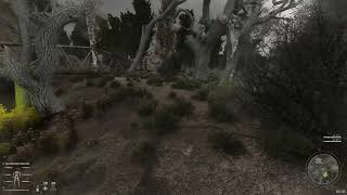 stalker  gamma
