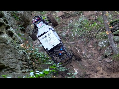 BLUE HOLLER BOUNTY HILL GETS BUSTED