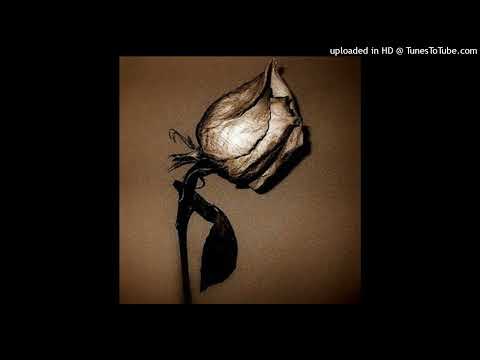 Chista Cīga-Life is Short(Feat.Xdragentinationwxrl)