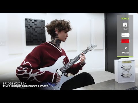 Tim Henson Signature Fishman Pickups