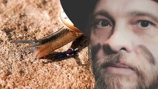 Video bOŽÍ mUKA - Tak malý