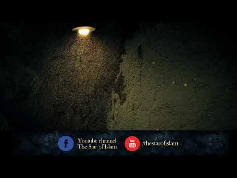 Simbolika | dr. Safet Kuduzović ᴴᴰ