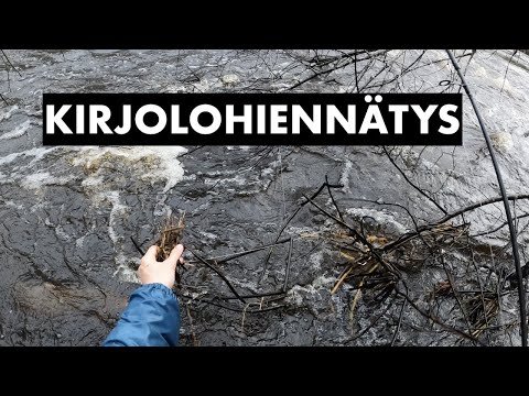 Järjetön taistelu ENKAT PAUKKUU