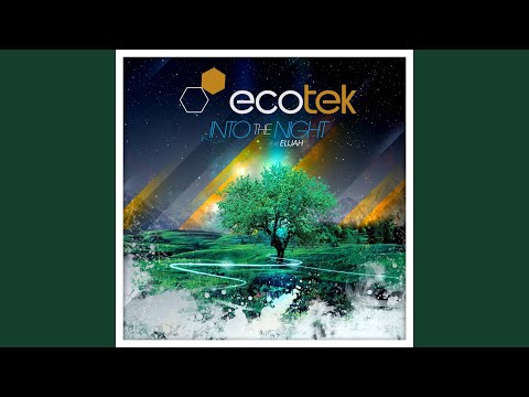 Into The Night (Dave Audé Club Radio Mix)