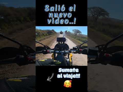 Lo que descubrimos nos dejó pensando