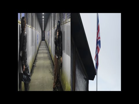 Cryomee & Whisp - HENTAI BITCH!