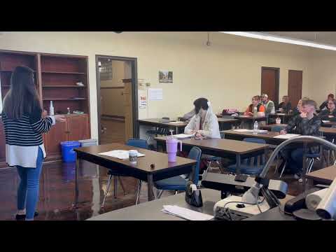 Can You Trust What You See? Testing Eyewitness Accounts.