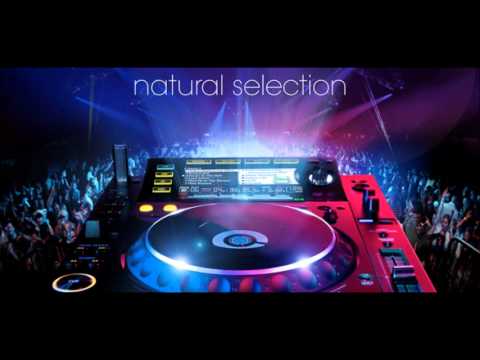 Mix Igor S e Lady Brian