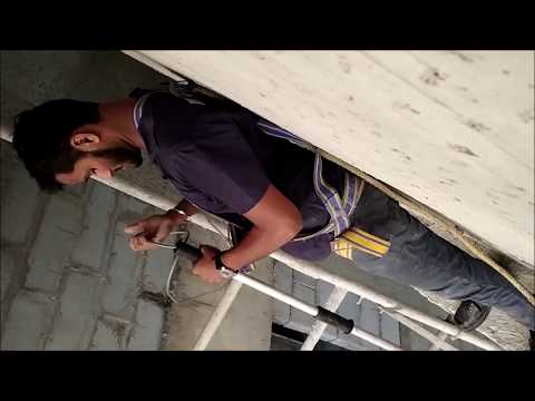 download lagu mp3 mp4 Mumbai Animal Association, download lagu Mumbai Animal Association gratis, unduh video klip Mumbai Animal Association