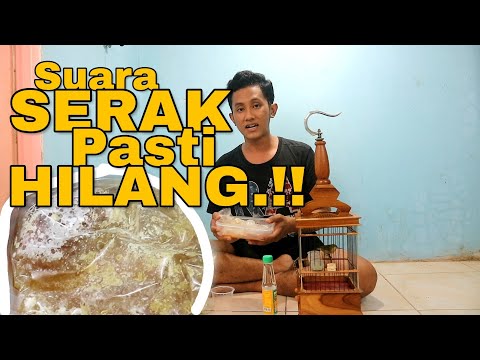 download lagu mp3 mp4 Cara Agar Suara Kembali Bagus, download lagu Cara Agar Suara Kembali Bagus gratis, unduh video klip Cara Agar Suara Kembali Bagus