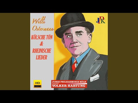 Wenn du eine Schwiegermutter hast! (1928)