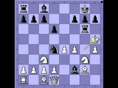 Retko vidjen napad na Kralja - SCHMALTZ vs HAR- ZVI - Becki gambit # 546