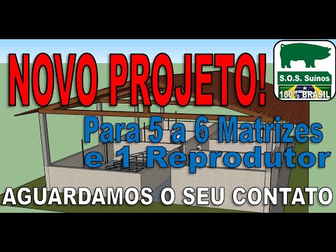 , title : 'NOVO PROJETO SUINOCULTURA - SOS SUINOS - Projeto para 5 a 6 Matrizes e 1 Reprodutor.'