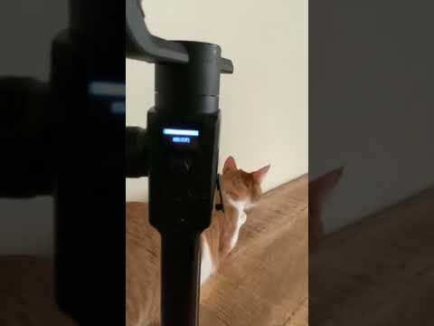 How to fixed Moza Air 2 ERROR | 33f0 Error fixed