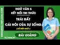 Trái Đất - Cái nôi của sự sống - Ngữ Văn 6 - Kết nối tri thức
