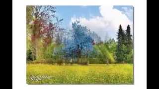 John Adorney -   As My Heart Desires