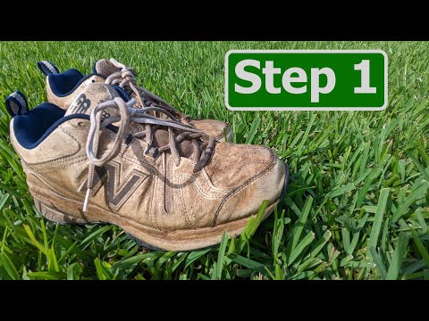 Florida Winter Lawn Care Step 1 :: Florida Lawn Calendar