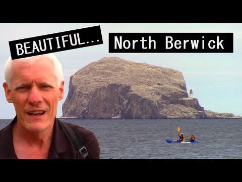 BEAUTIFUL NORTH BERWICK!  Stunning coastal scenery, hill climbing, sandy beaches and pigeons!