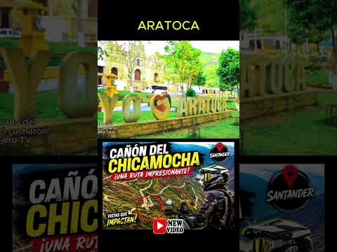 ARATOCA Y SU PAN