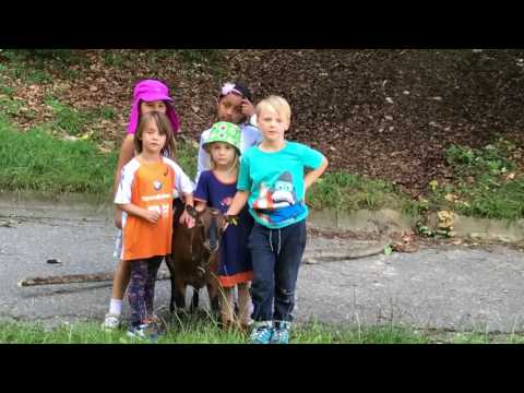 Paulus-Tages-Kindergarten aus Freiburg trifft auf Ziegen www.brigitte-von-landeck.de