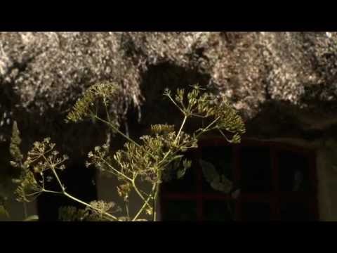 Tanghuse på Læsø - Kalines Hus