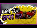 Best Bodypainting Illusion Ever The Butterfly