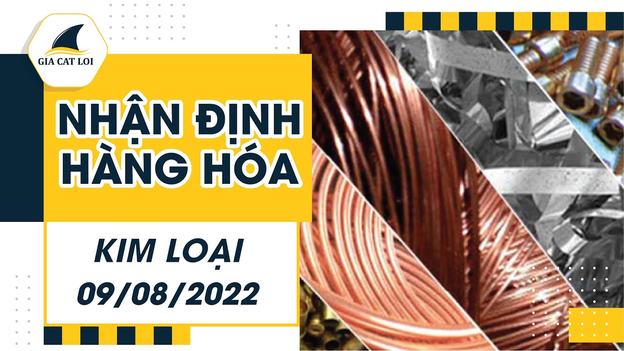 Nhận Định Thị Trường Kim Loại Ngày 09/08/2022