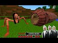 Spider Momo & Giant Angry Worm Tried to Catch Me in Minecraft - Coffin Meme
