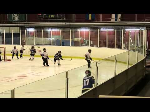 Swedish Hockey Trophy 2014 finals - BJR vs Boo HC