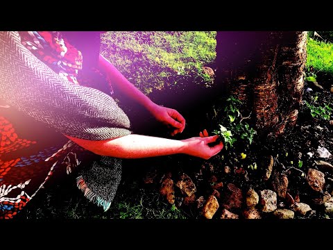 Paulina | Out of Joint | It Gets Lighter From Here