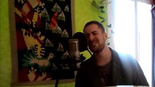 Pol Rossignani - What you're made of (Lucie Silvas Cover a Cappella)