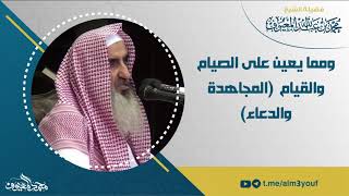 محاضرة مواسم الربيع image