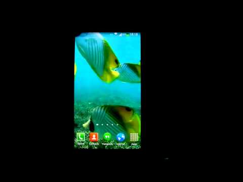 Tropical Fish Underwater Live Wallpaper HD
