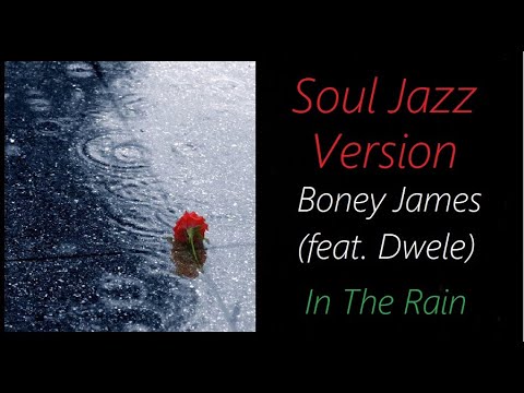 Boney James (feat. Dwele) - In The Rain | ♫ RE ♫