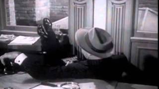 MY FAVORITE BRUNETTE (Excerpt)