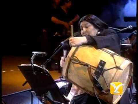 Mercedes Sosa, Entre a Mi Pago sin Golpear, Festival de Viña 1993