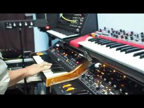 Nord lead A1 / moog sub 37 / moog little  phatty / alesis ion PERFORMANCE