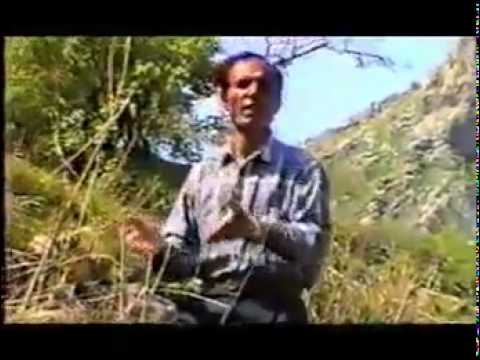 Muhamad mshmaty محمد حشمتي