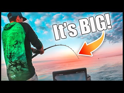 Monster Salmon Everywhere! Lake Ontario Fishing Gone Wild! 🎣