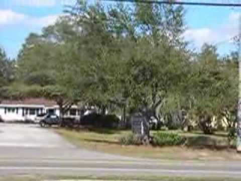 41 Days until Spring part 4