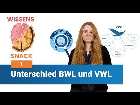 Der Unterschied zwischen BWL und VWL