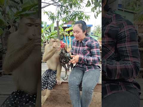 Amazing SokYaa,OG, ToTo Animals Are So Awesome #shorts